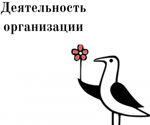 Краткая сводка деятельности организации за лето 2020 года