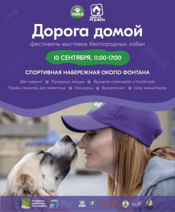 Фестиваль беспородных собак "Дорога домой" проведёт Фонд "Умка"