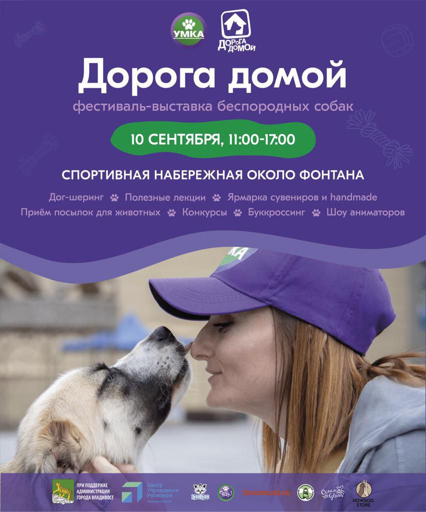 Фестиваль беспородных собак "Дорога домой" проведёт Фонд "Умка" Фестиваль беспородных собак "Дорога домой" проведёт Фонд "Умка"
