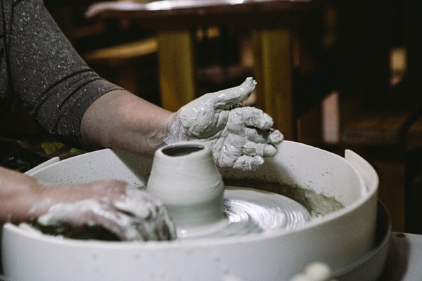 «Благодаря нам люди стали лучше ориентироваться в видах редких растений и животных». Арина Севостьянова, СЭОО «Первоцвет»