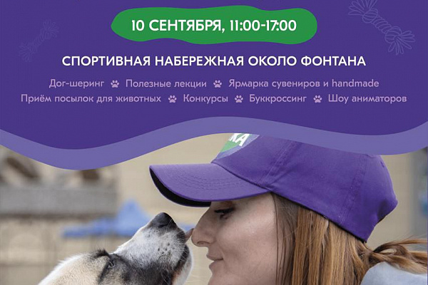 Фестиваль беспородных собак "Дорога домой" проведёт Фонд "Умка"