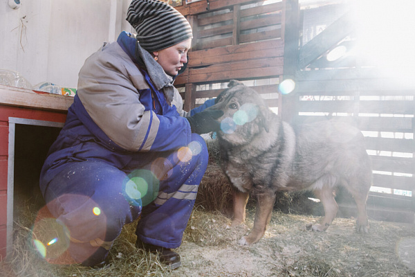«Мы делаем всё, чтобы животное уже никогда не вернулось на улицу». Екатерина Кириллова, фонд «Умка»